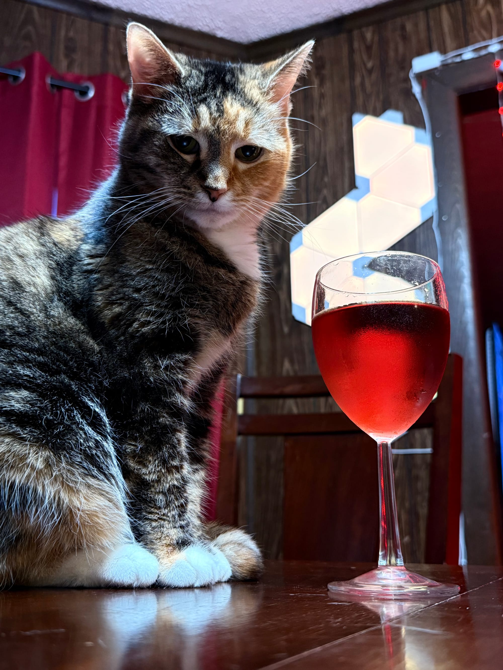 Harvie is a cat with black and orange fur with a defining split down her face. She's on a table next to a glass of red wine.