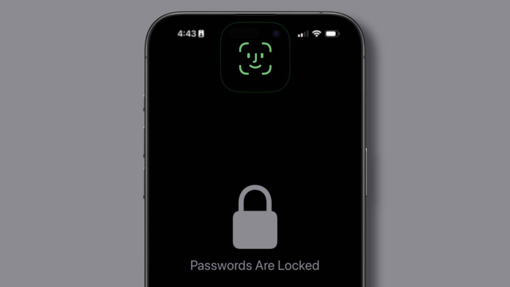 A screenshot of the Apple Passwords app