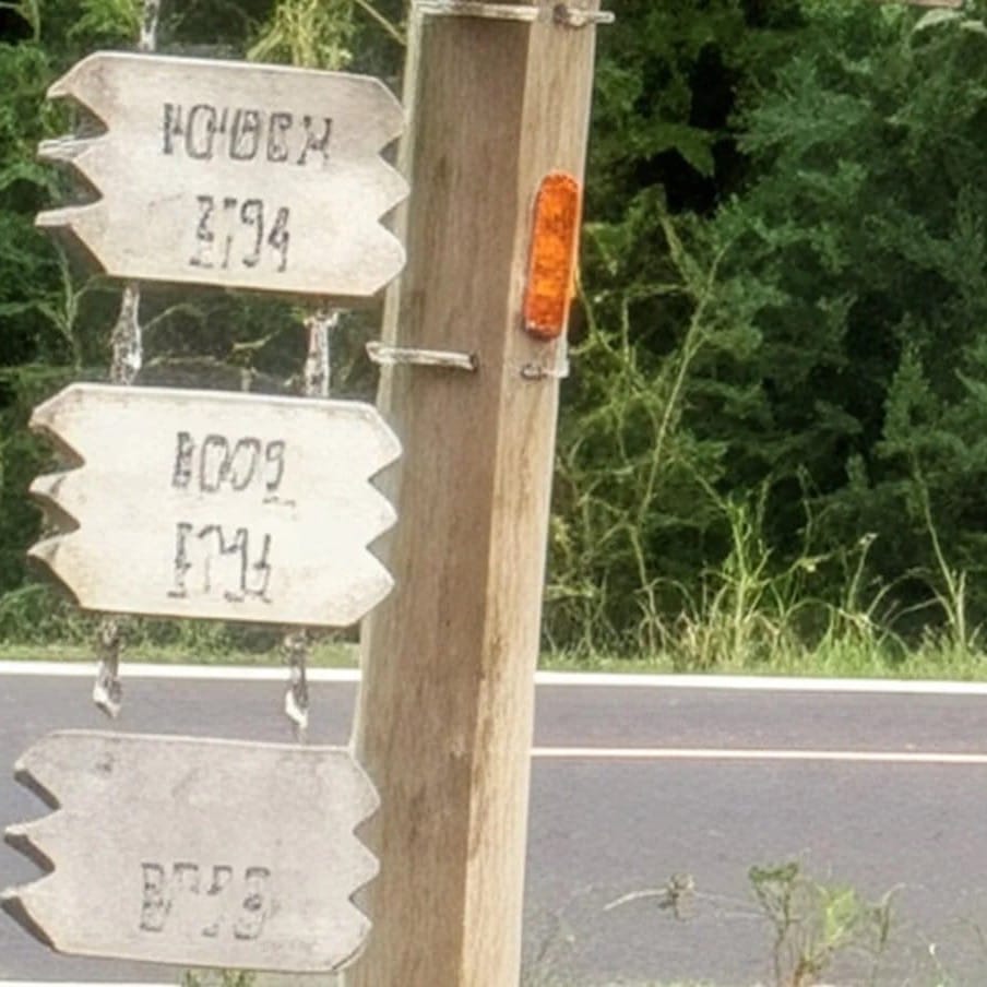 A photo of signs taken with Google Pixel 10 with 10x zoom that have AI generated nonsense lettering