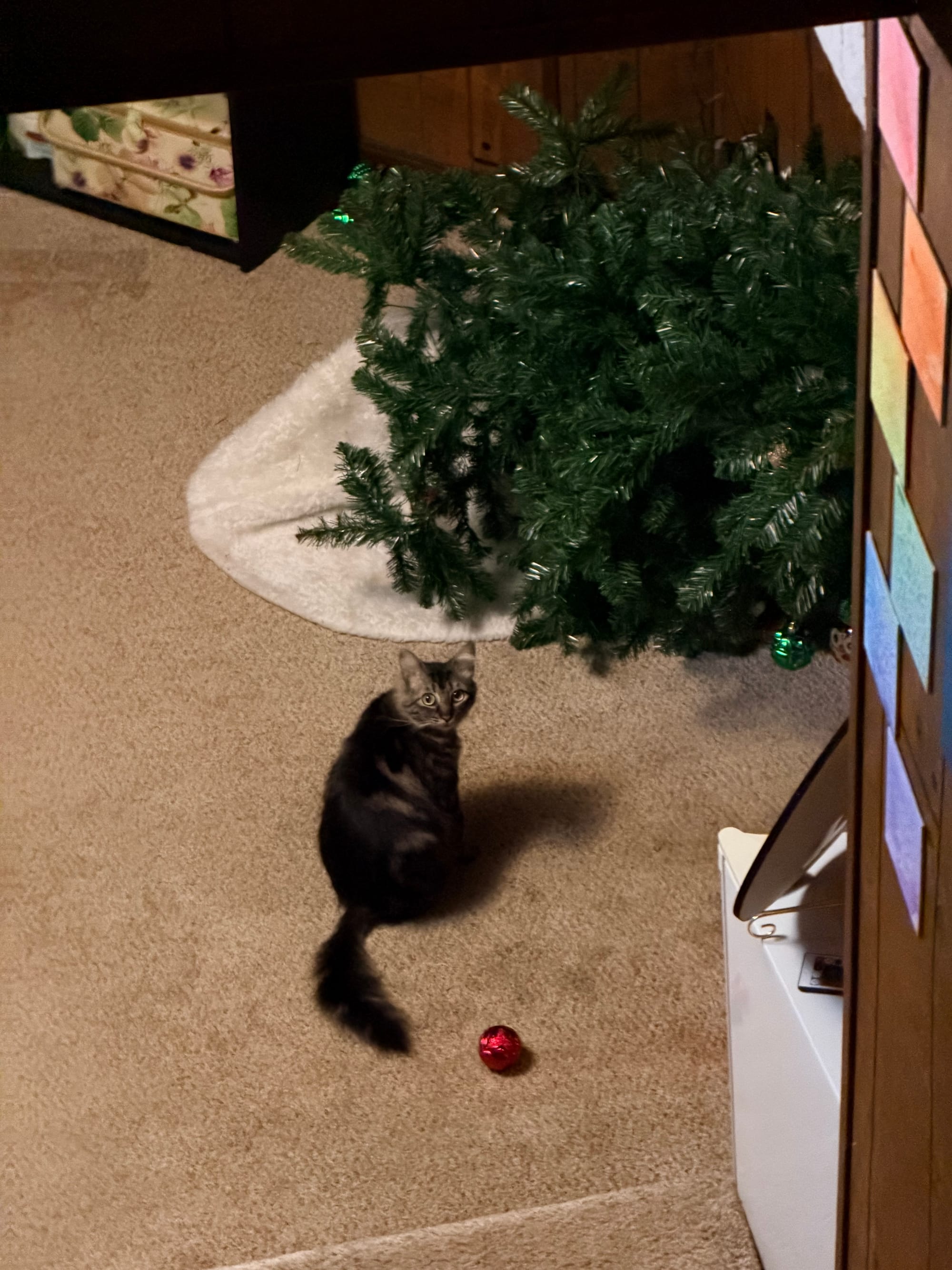 A small cat sits next to a fake Christmas tree that has been knocked on its side